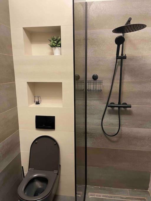 Ath Modern Homes - Luxury Apartment In The City Center Iasi Exteriör bild